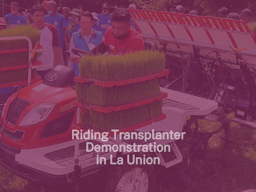 Riding Transplanter